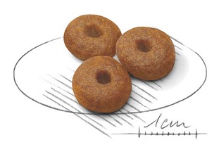 croquettes spécial chiots